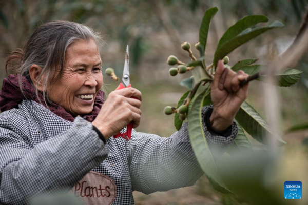 Arrival of Yushui Sees Wave of Spring Farming Activities Across China