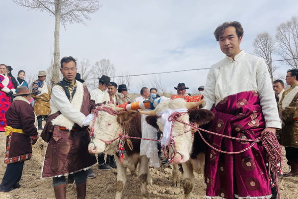 Farmers in NW China's Qinghai Celebrate Start of Spring Farming