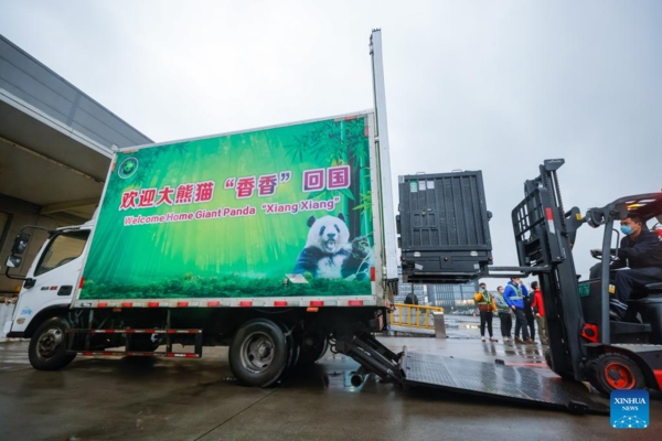 Japan-Born Giant Panda Xiang Xiang Returns to China