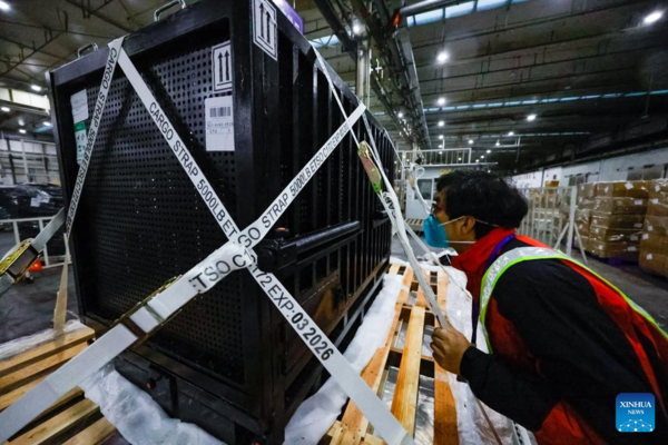 Japan-Born Giant Panda Xiang Xiang Returns to China