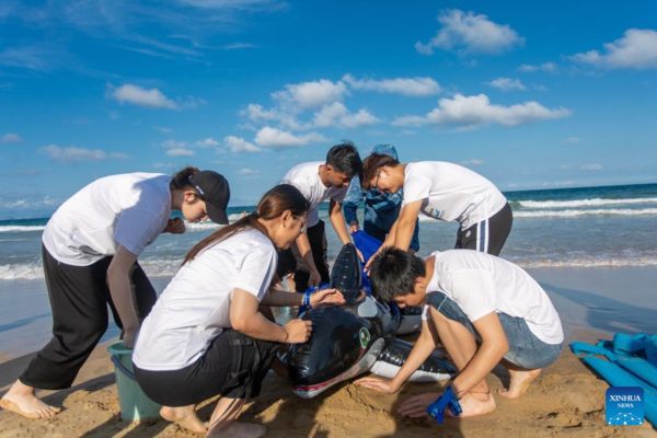 Feature: Guardian of Marine Species in China's Hainan