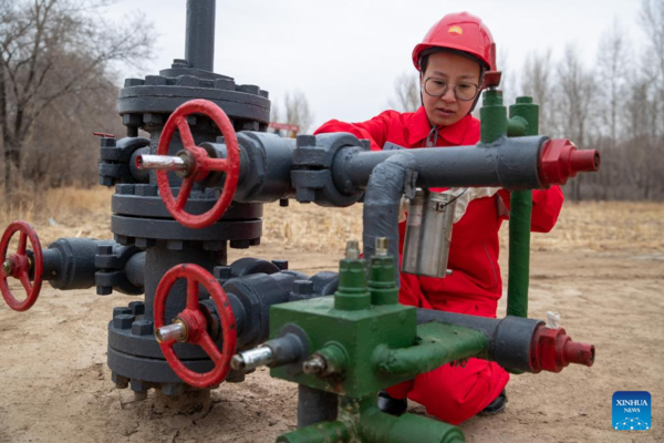 Women Workers in NE China Play Active Role in Various Workplaces