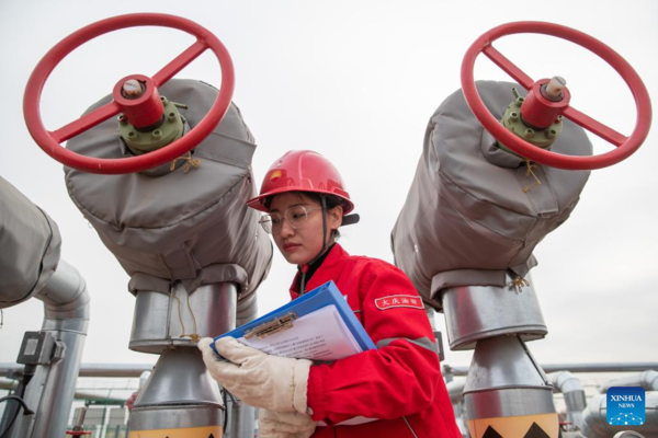 Women Workers in NE China Play Active Role in Various Workplaces