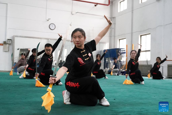 China Focus: Martial Arts Growing in Popularity Among Young Chinese