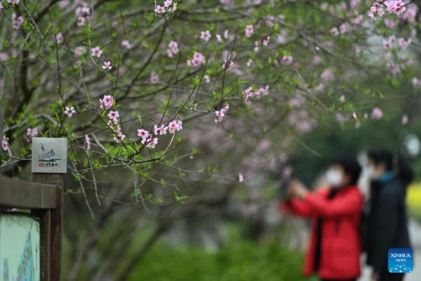 Activities Held to Celebrate Hua Zhao Jie in Hangzhou, E China