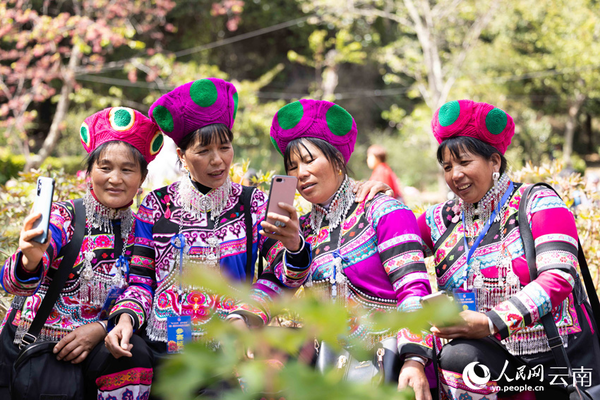 Peony Cultural Tourism Festival Kicks off in Wuding, SW China's Yunnan