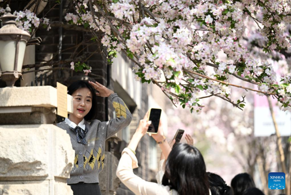 Blossoms of Chinese Flowering Crabapple Boost Tourism in N China's Tianjin