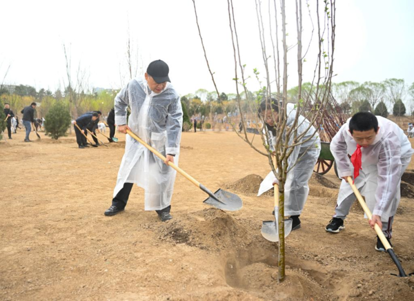 Xi Plants Trees in Beijing, Urging More Afforestation Efforts for Green Development, Building Beautiful China