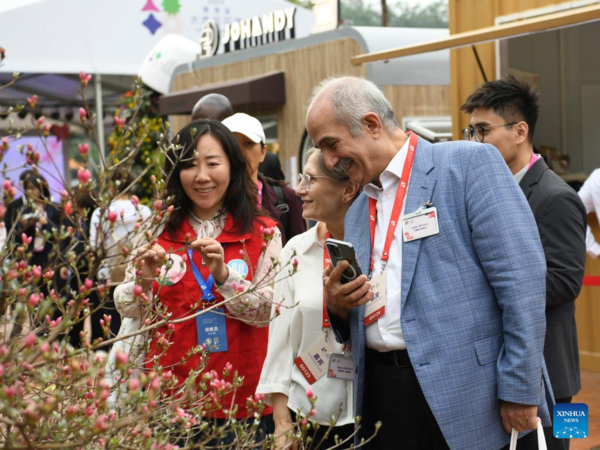 Greater Bay Area Flower Show Opens at Shenzhen Fairy Lake Botanical Garden