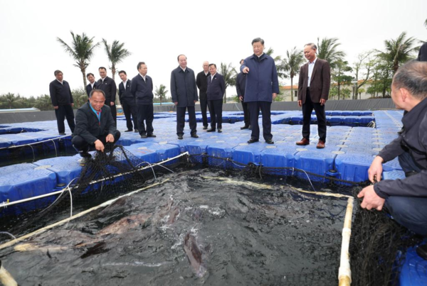 Xi Inspects South China's Guangdong Province