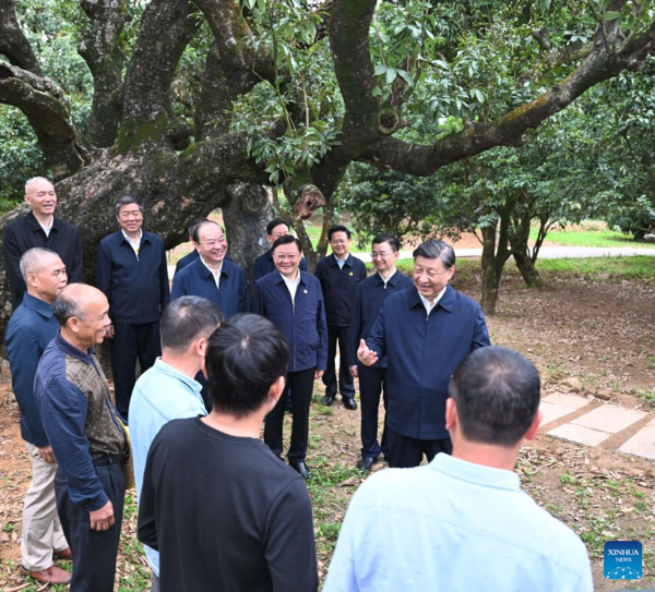 Xi Inspects Southern Chinese City of Maoming