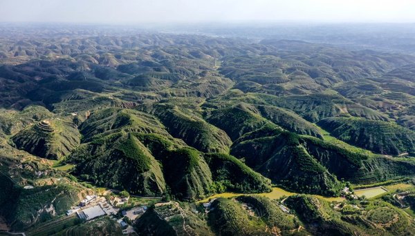 Xi Story: A Farmland Visitor and the Vision for China's Food Security