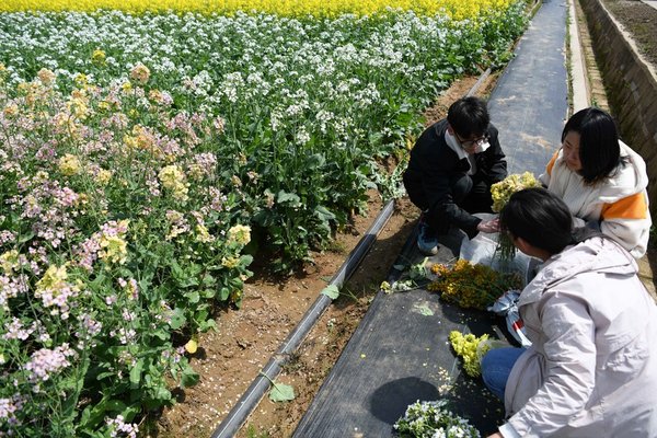 China Specifies Measures to Ease Burden of Student Loans