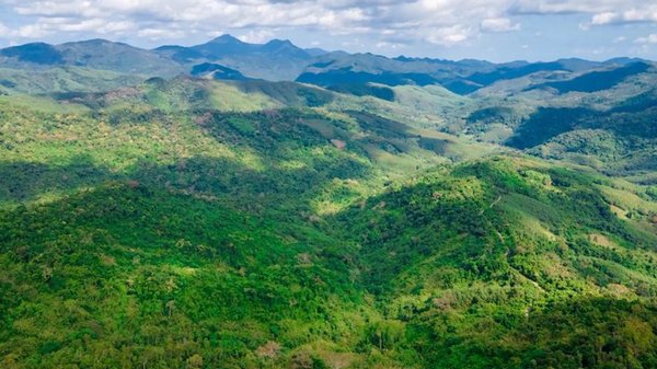 Xi Jinping: Guarding Tropical Rainforest