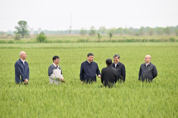 Xi Visits City of Cangzhou in North China's Hebei Province