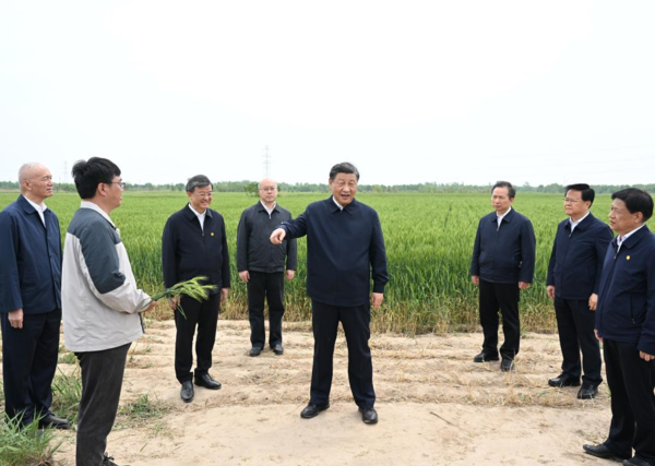 Xi Visits City of Cangzhou in North China's Hebei Province