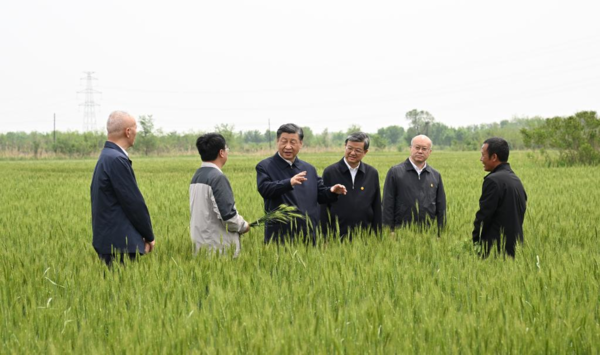 Xi Visits City of Cangzhou in North China's Hebei Province