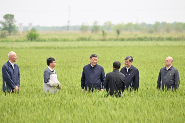 Xi Visits City of Cangzhou in North China's Hebei Province