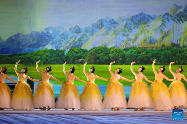 Art Performance Held to Mark Opening of Year of Culture and Art of Peoples of China and Central Asia