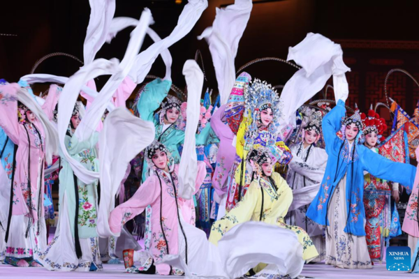 Art Performance Held to Mark Opening of Year of Culture and Art of Peoples of China and Central Asia