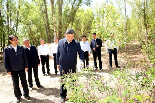 Xinhua Headlines-Xi Focus: Xi Urges Sustained Efforts to Curb Desertification