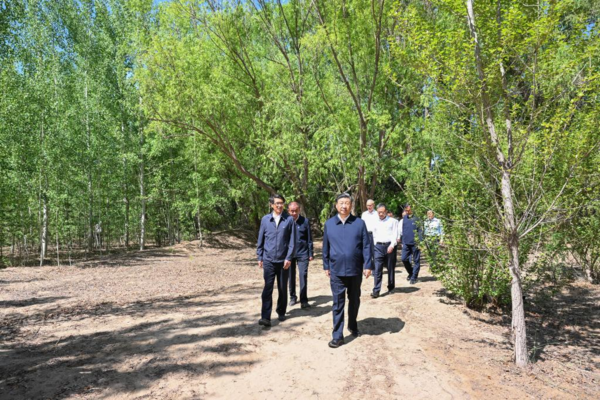 Xinhua Headlines-Xi Focus: Xi Urges Sustained Efforts to Curb Desertification