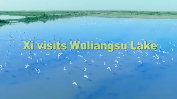 Xi Visits Wuliangsu Lake in China's Inner Mongolia