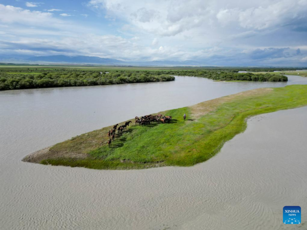 NW China's Zhaosu County Enters Peak Tourism Season in Summer