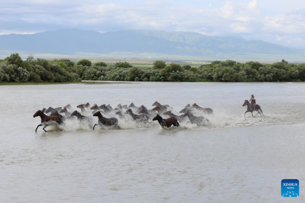 NW China's Zhaosu County Enters Peak Tourism Season in Summer