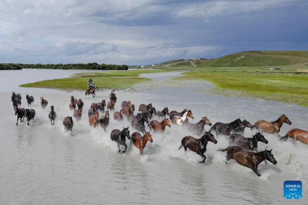 NW China's Zhaosu County Enters Peak Tourism Season in Summer