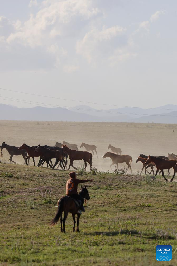 NW China's Zhaosu County Enters Peak Tourism Season in Summer