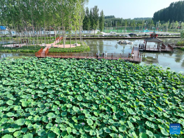 Improved Rural Living Environment Boosts Rural Revitalization in North China