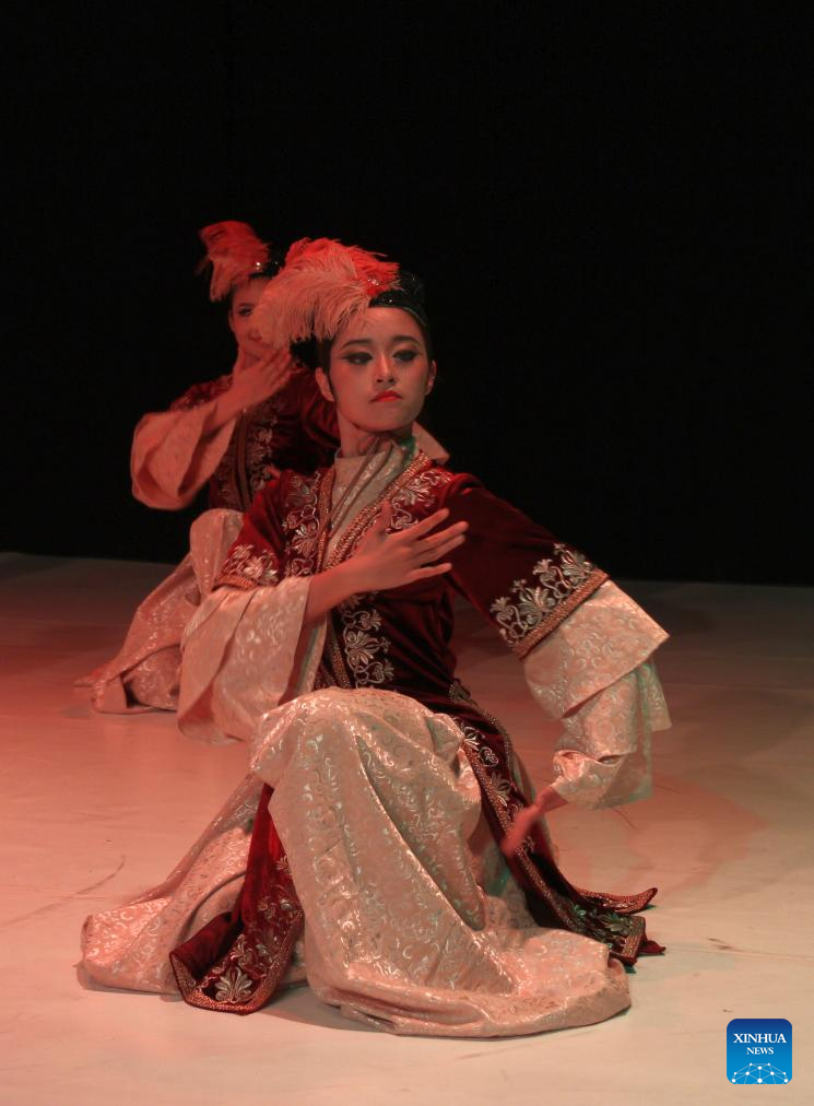 Chinese Folk Dance Staged in Sofia, Bulgaria