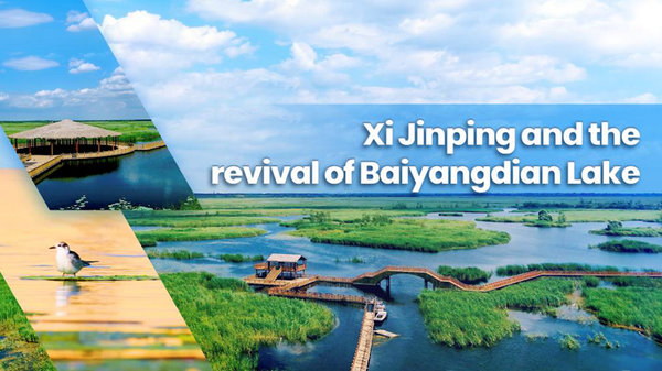 Xi Jinping and the Revival of Baiyangdian Lake