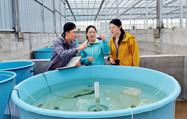 Researcher Protecting Rare Carp in Qinghai Lake