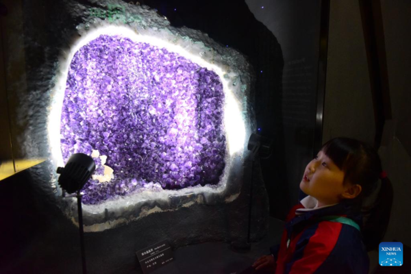 Pupils Participate in Scientific Education Tour at Henan Natural History Museum