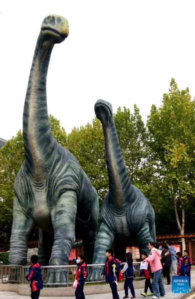 Pupils Participate in Scientific Education Tour at Henan Natural History Museum