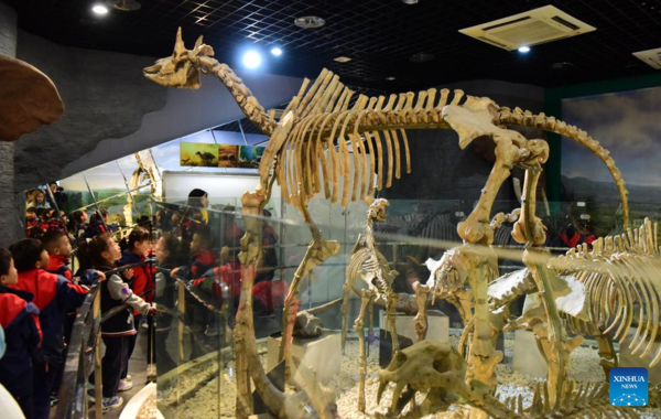 Pupils Participate in Scientific Education Tour at Henan Natural History Museum