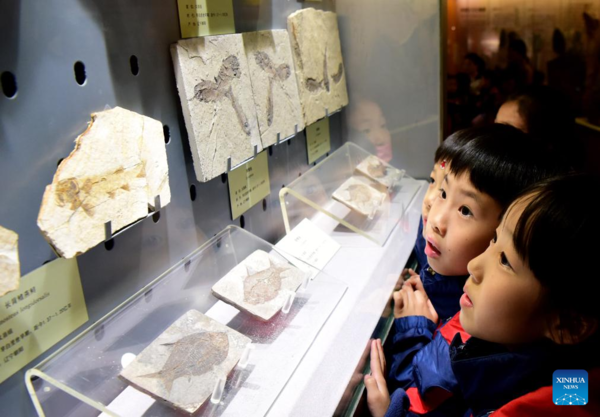 Pupils Participate in Scientific Education Tour at Henan Natural History Museum