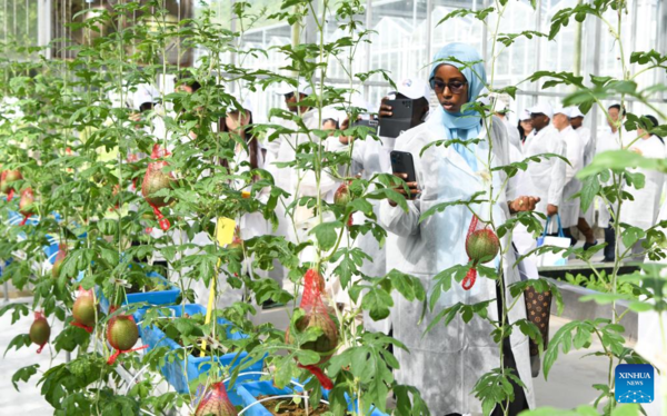 Participants of 2nd Forum on China-Africa Cooperation in Agriculture Go on Field Trips in Sanya