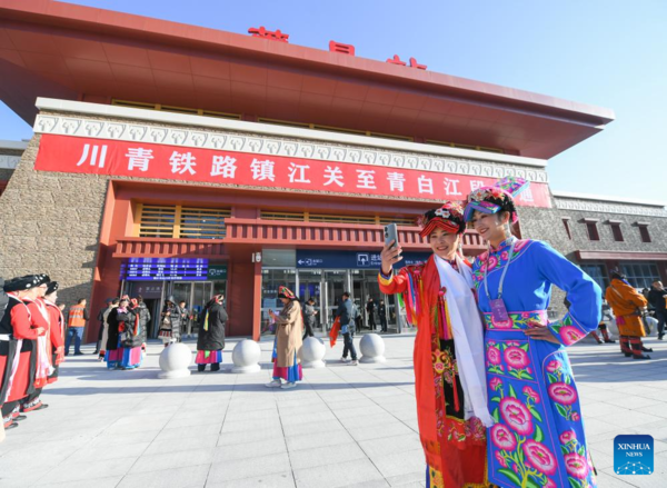 High-Speed Railway Opens to Traffic in West China Without Disturbing Panda Habitat