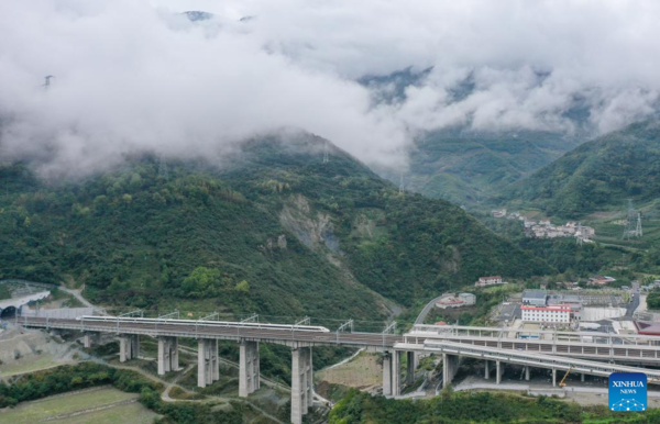 High-Speed Railway Opens to Traffic in West China Without Disturbing Panda Habitat