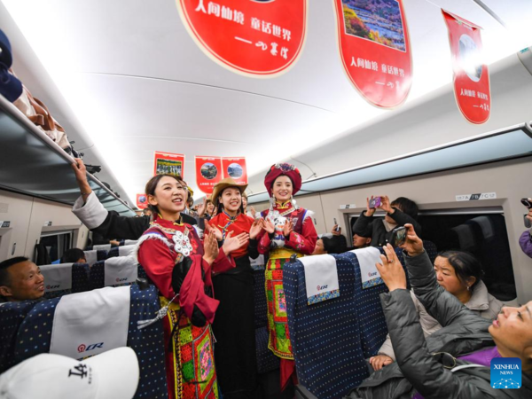 High-Speed Railway Opens to Traffic in West China Without Disturbing Panda Habitat