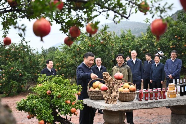 Xinhua Pictures of the Year 2023: Leading China