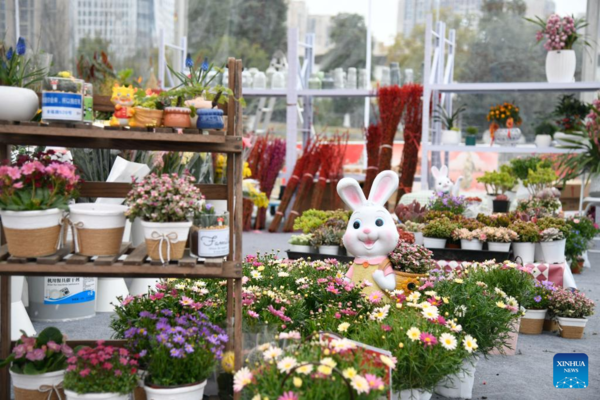 Flower-Themed Fairs Held in Chengdu to Celebrate Upcoming Chinese New Year