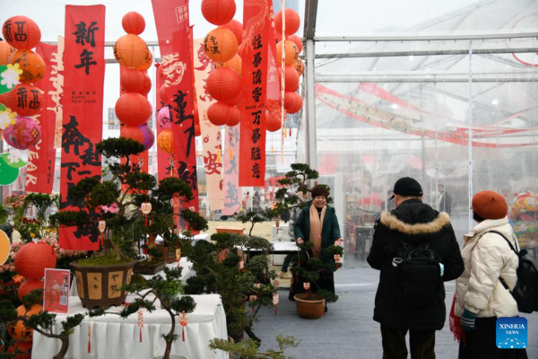 Flower-Themed Fairs Held in Chengdu to Celebrate Upcoming Chinese New Year