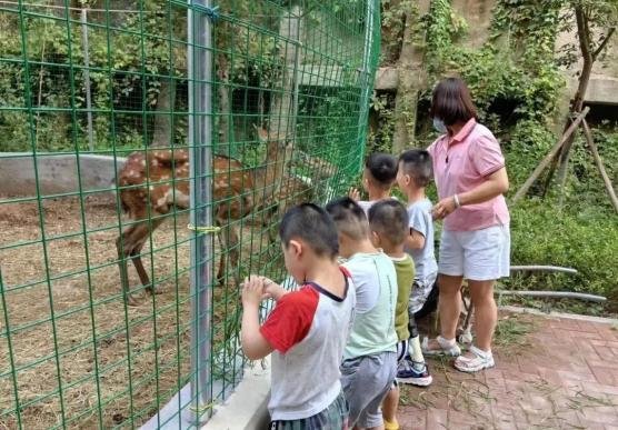 'Small Zoo' in Qingdao Welfare House Brightens Children's Life