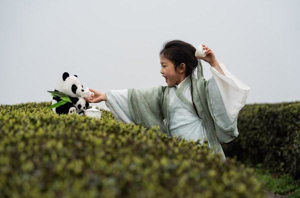 SichuanMosaics | Tea Industries Empower Communities, Enterprises in Luzhou, SW China's Sichuan