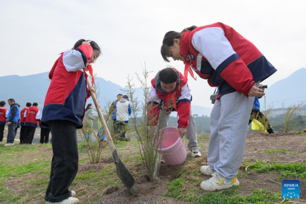 Rare, Endangered Plants Reintroduced into China's Three Gorges Reservoir Area