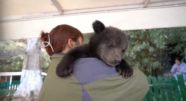 Gen Z Animal Caregiver Goes Viral with Cuddly Cub Videos